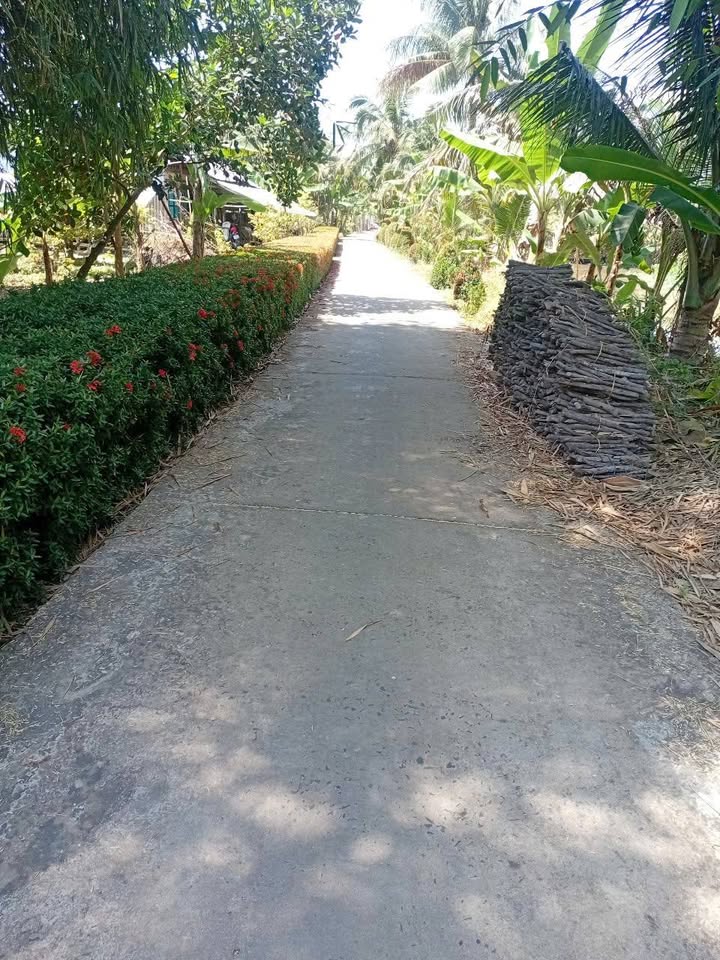 Đất nền Phường Bình Phụng, Hậu Giang 594m² giá 500 triệu - Cơ hội đầu tư tuyệt vời!