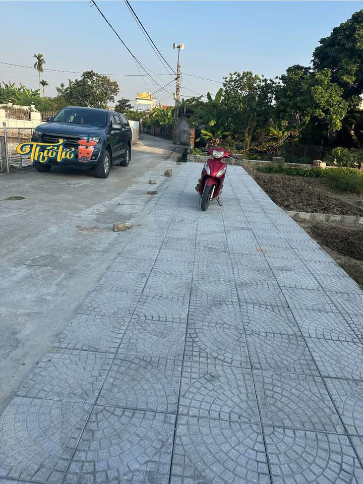 Đất nền Thụy Duyên, Thái Thụy 237m² giá 900 triệu - Sổ đỏ trao tay!