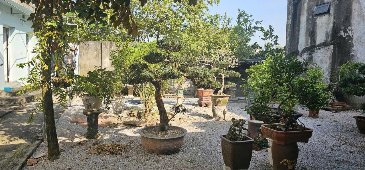 Đất nền đẹp QL47, Đông Sơn, 264m² giá 7 tỷ - Cơ hội đầu tư hiếm có!