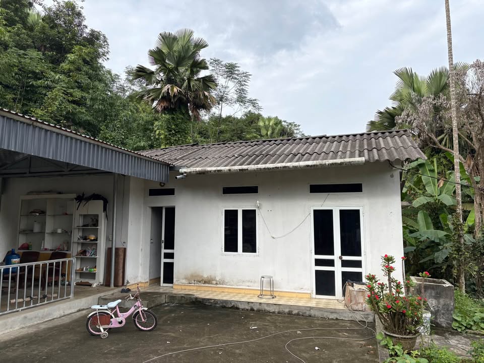 Đất nền Nam Cường Lào Cai 3680m² giá 2.8 tỷ - Sổ đỏ chính chủ, mặt đường bê tông