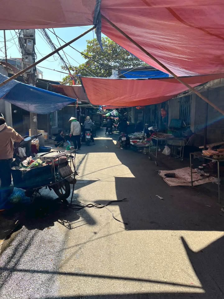 Đất nền Tràng Minh Kiến An 80m² giá 1.65 tỷ - Đầu tư sinh lời ngay!