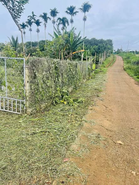 Đất thổ cư 720m² tại Phú Lộc, Krông Năng - Chỉ 750 triệu - Đầu tư lý tưởng!