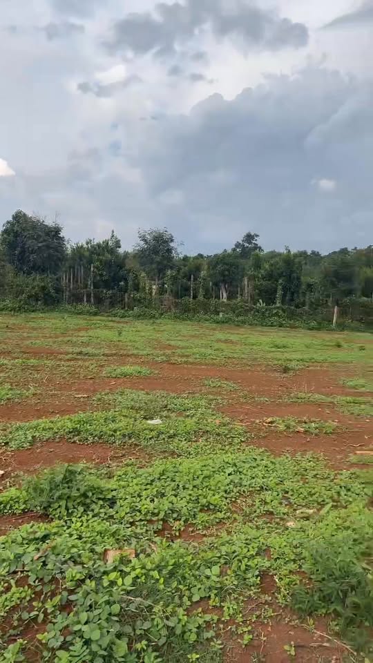 Đất thổ cư Ea Hồ 300m² giá chỉ 690 triệu - Cách chợ 400m!