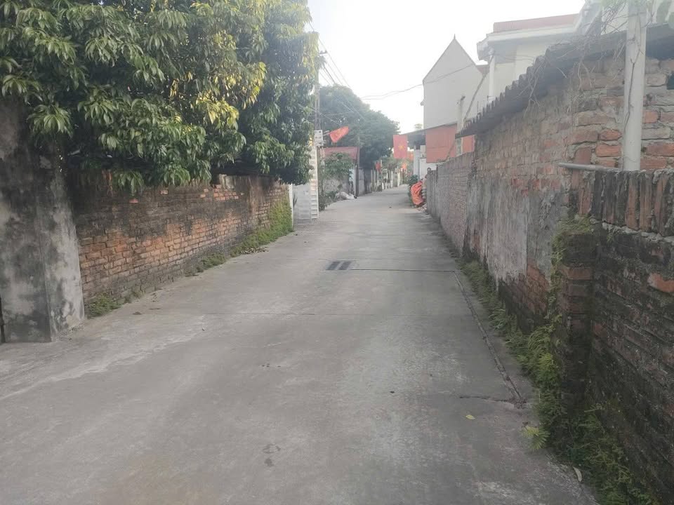 Đất thổ cư 150m² Ấp Bắc Thượng Sóc Sơn giá 4.2 tỷ - Cơ hội đầu tư hiếm có!