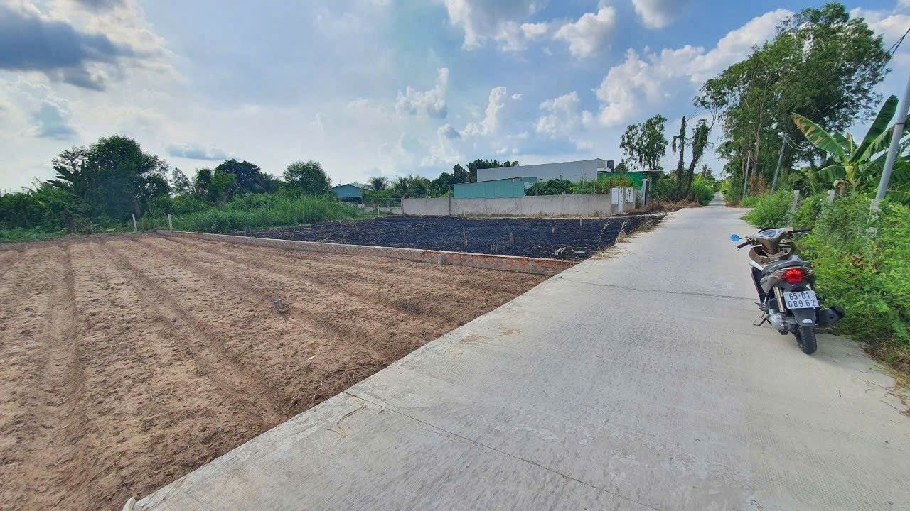 Đất nền Phước Thới, Ô Môn, 142m² chỉ 1.25 tỷ - Cơ hội đầu tư tuyệt vời!