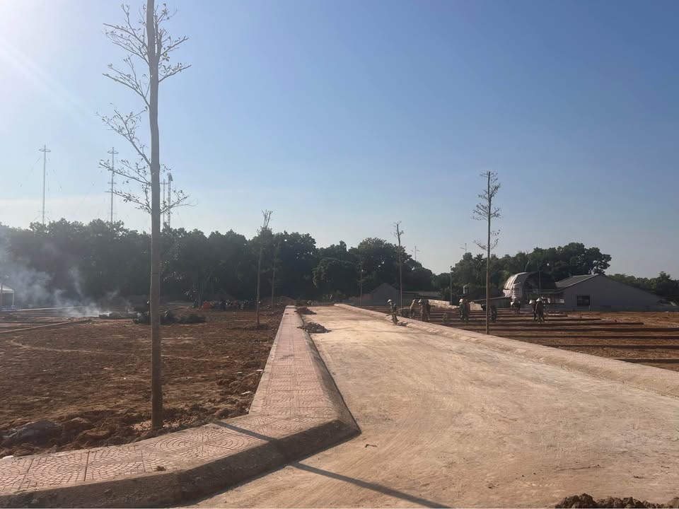 Đất nền đô thị Tùng Thiện, Sơn Tây 112m² - Đầu tư sinh lời chắc chắn!