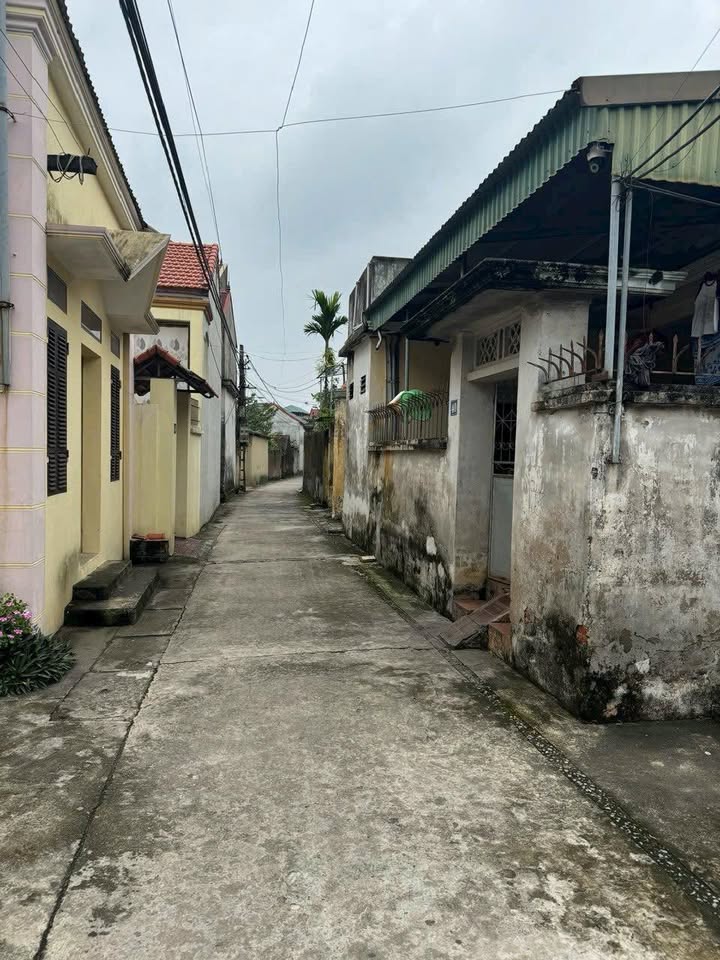 Đất thổ cư 118m² Nam Triều Phú Xuyên giá chỉ 1.2 tỷ - Cơ hội không thể bỏ lỡ!