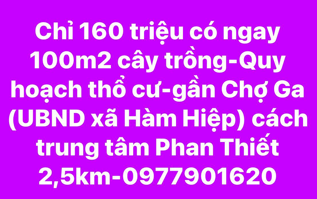 Đất thổ cư 100m² tại Hàm Hiệp chỉ 160 triệu - Cơ hội đầu tư lý tưởng!