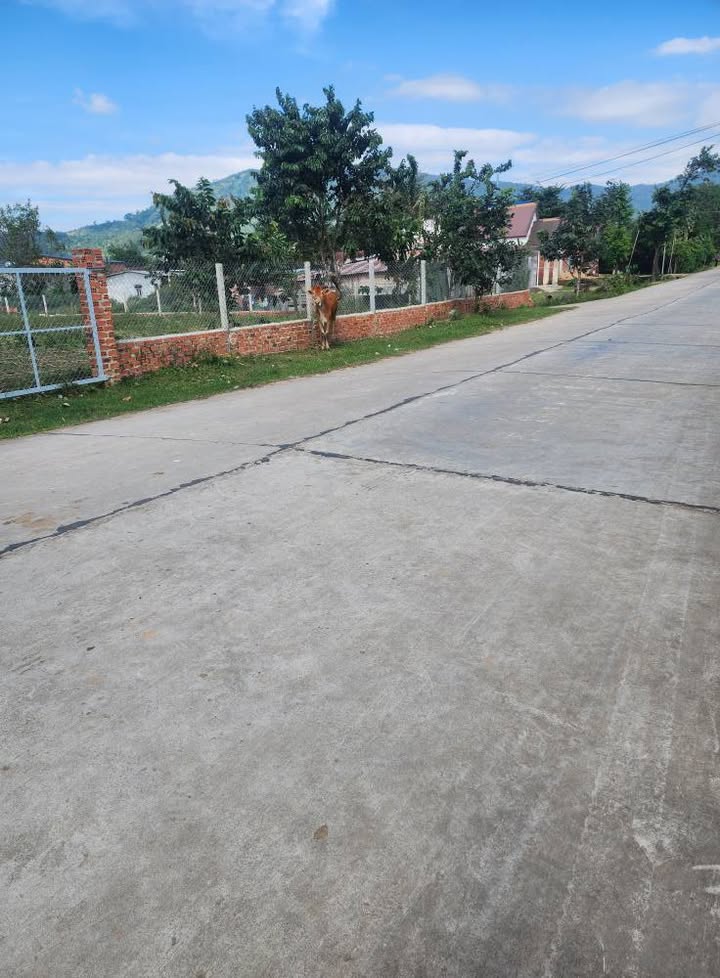 Đất nền 3000m² tại Lắk - Mặt tiền chính đường vào khu du lịch, giá chỉ 2.079 tỷ!