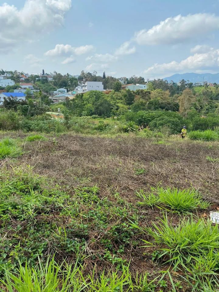 Đất Bảo Lộc 137.7m² giá 1.4 tỷ - Sổ đỏ chính chủ!