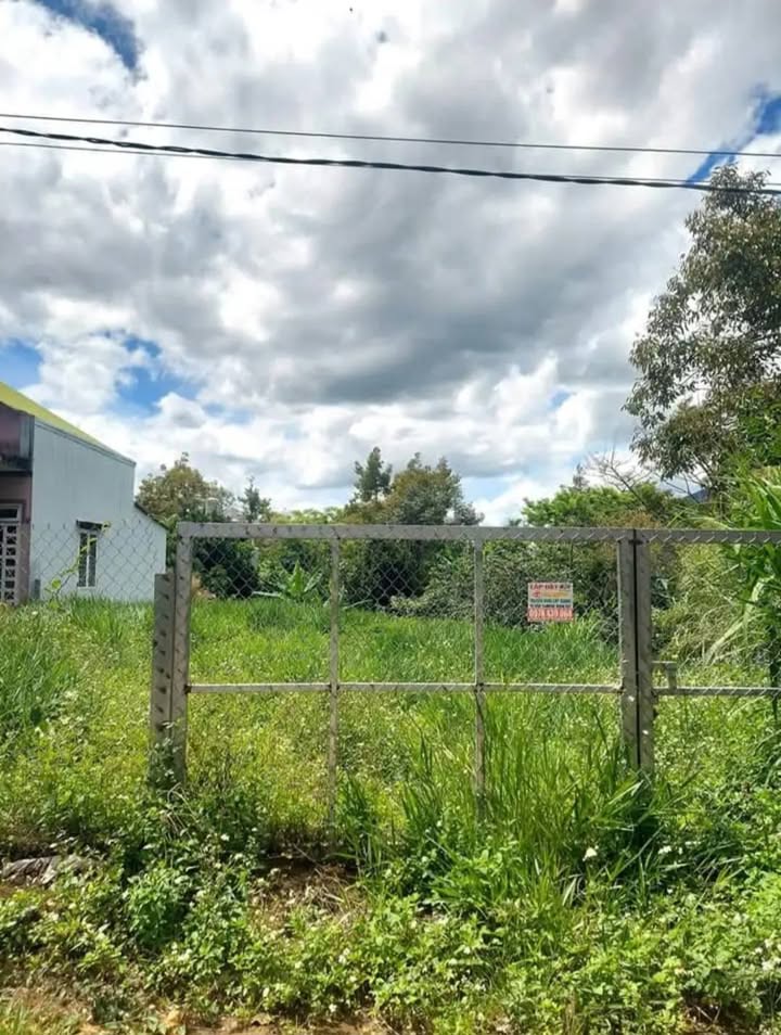 Đất nền Hẻm 80 Lam Sơn, B'Lao 880m² giá 4.5 tỷ - Đầu tư sinh lời ngay!