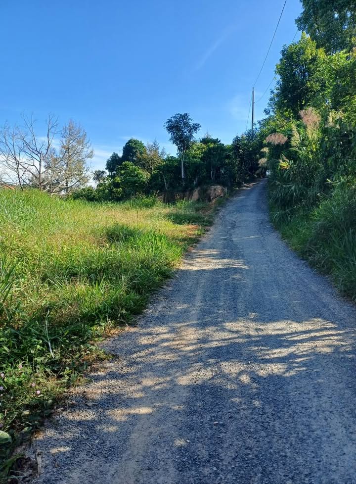 Đất nền Lộc Nam Bảo Lâm 8000m² - Đầu tư sinh lời, vị trí đẹp!