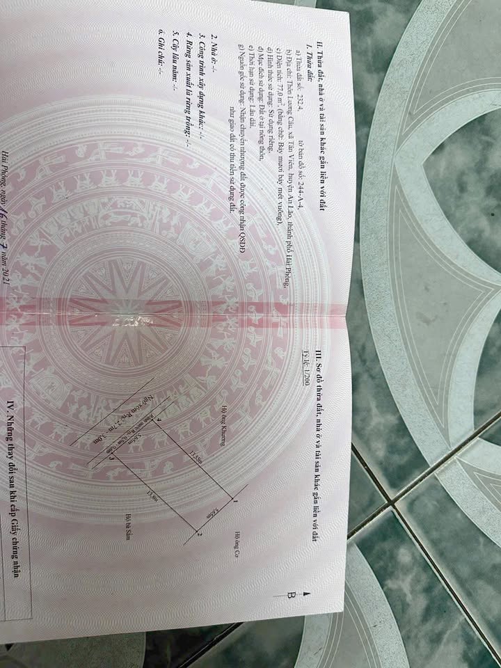 Đất nền Tân Viên An Lão 80m² chỉ 600 triệu - Cơ hội đầu tư tuyệt vời!