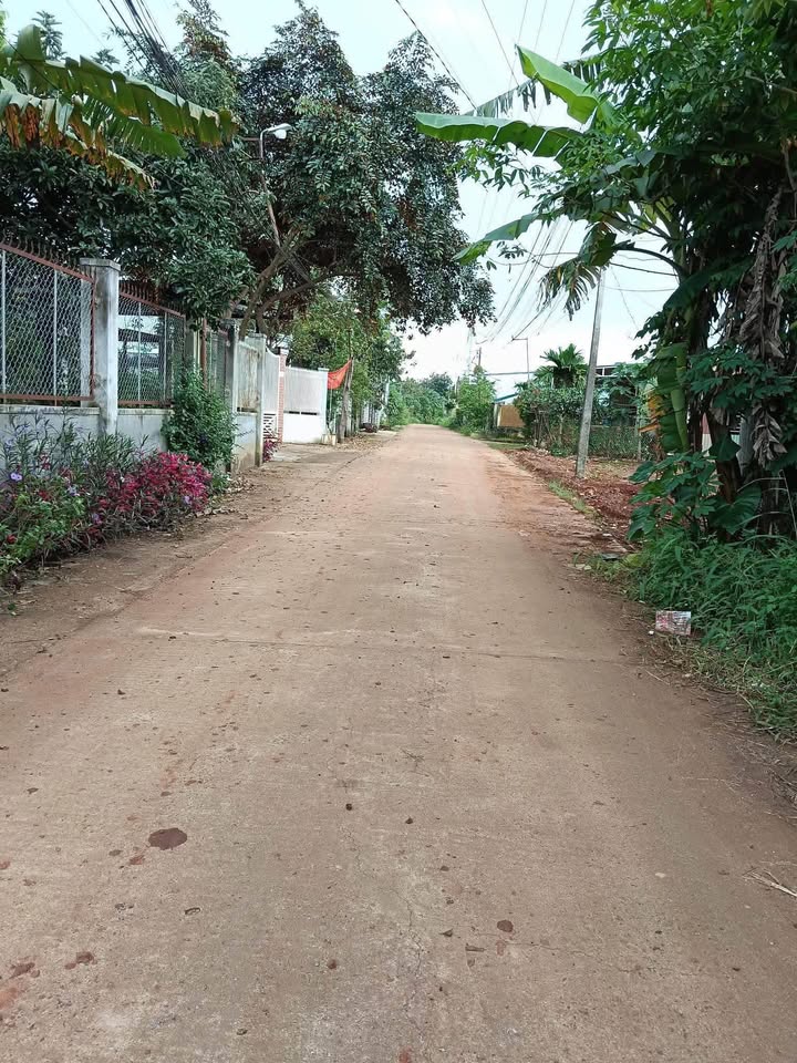 Đất nền phường Ea Tam, Buôn Ma Thuột 150m² giá 1.5 tỷ - Ô tô vào tận nơi!