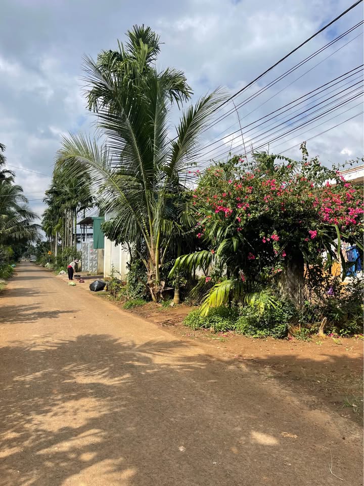 Đất thổ cư Tân An, Buôn Ma Thuột 245m² giá 1.69 tỷ - Cách Ủy ban chỉ 500m!