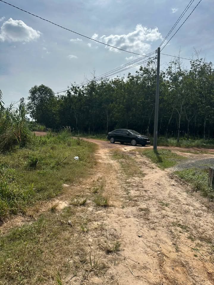 Đất nền Tân Phong, Tân Biên 252m² giá 100 triệu - Cơ hội đầu tư tuyệt vời!