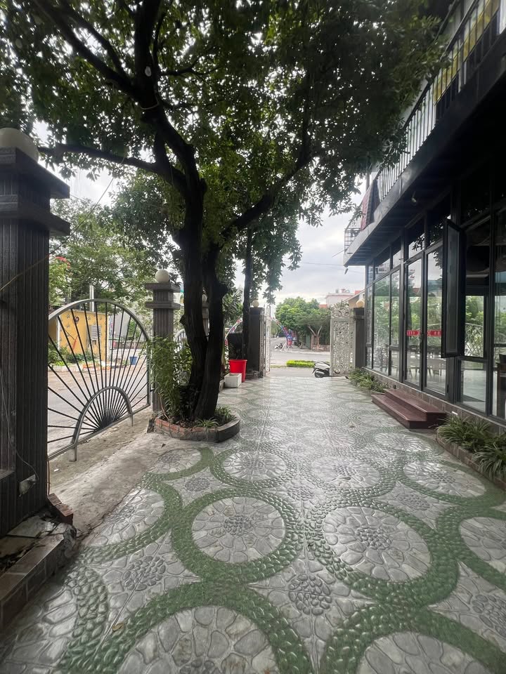 Nhà mặt tiền cho thuê tại Khai Quang, Vĩnh Yên 300m² - Đầu tư kinh doanh sinh lời!