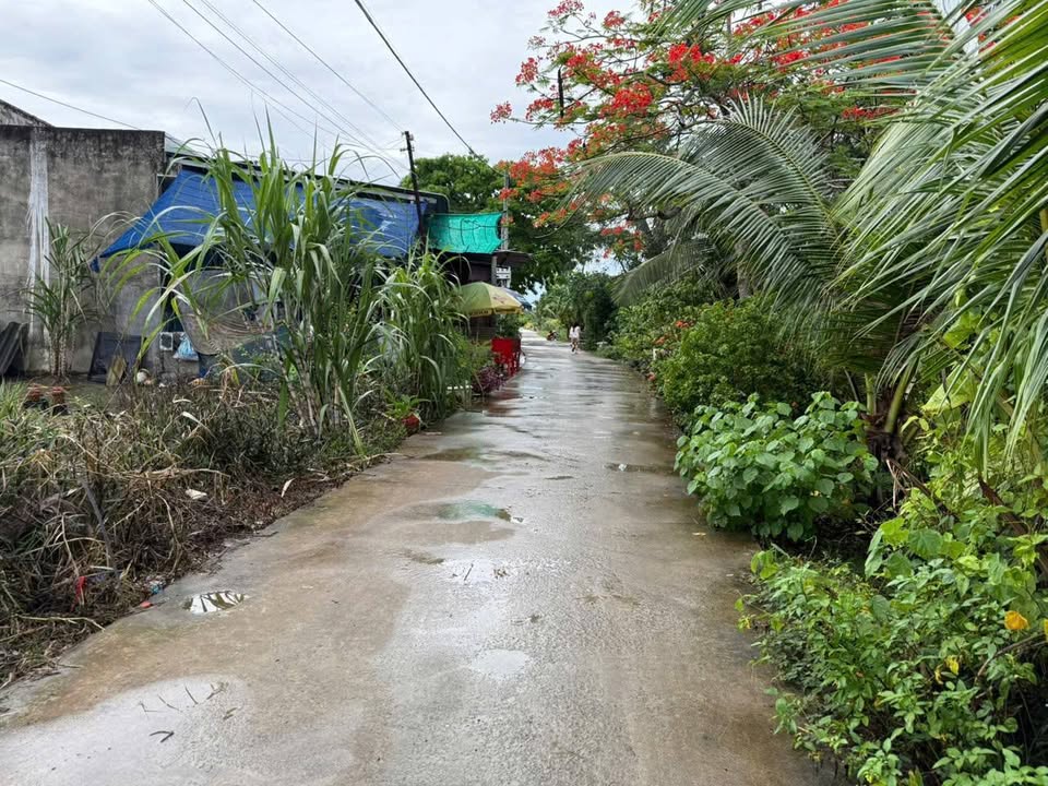 Đất thổ cư Nhị Thành, Thủ Thừa 125m² giá 1.1 tỷ - Đầu tư sinh lời ngay!