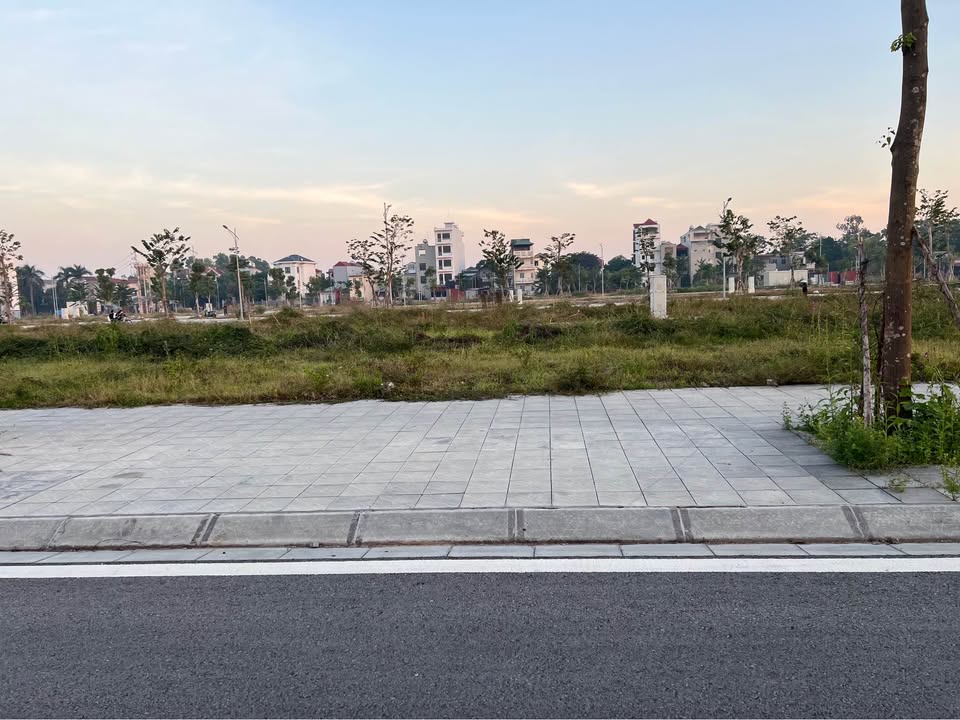 Đất nền dự án Tân Mĩ - Avenue 80m² giá 3.6 tỷ - Cơ hội đầu tư hấp dẫn!