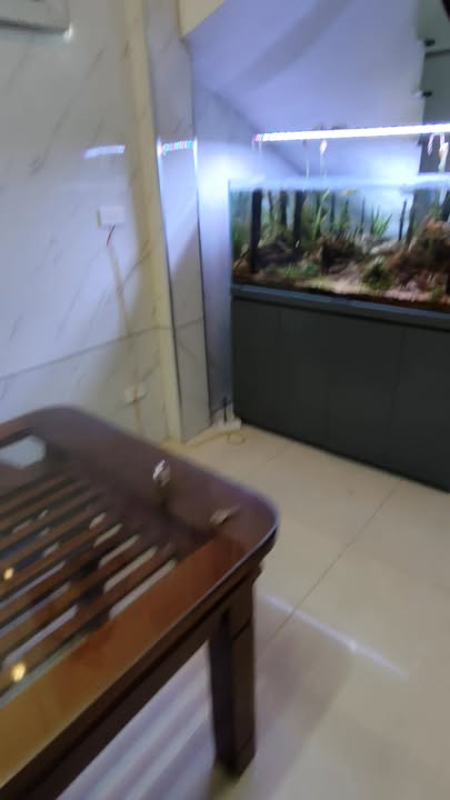 Phòng cho thuê ngõ 254 Minh Khai, 30m² - Không chung chủ, đầy đủ tiện nghi!