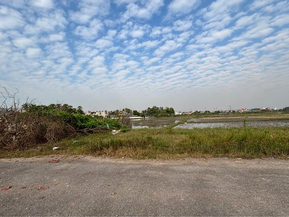 Đất nền chính chủ Quảng Thịnh 115m² - Gần trung tâm thương mại