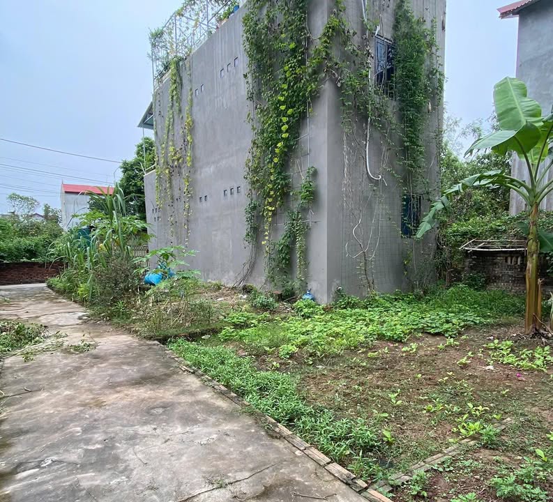 Đất nền Đặng Xá 41m² giá 3 tỷ - Ngõ ô tô thông, gần hồ điều hòa!