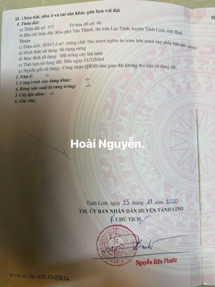 Lô rẫy Điều 2ha tại Lạc Tánh, Tánh Linh, Bình Thuận - Giá chỉ 6 tỷ!