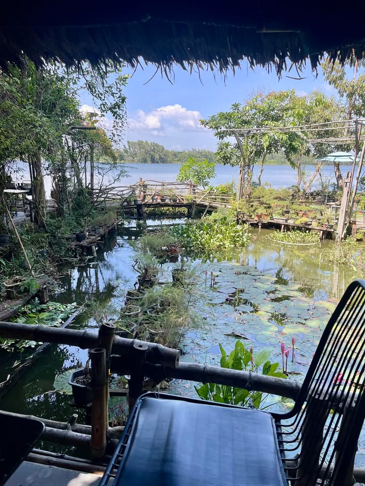 Đất thổ cư Hòa Hội, Xuyên Mộc 420m² giá 1,15 tỷ - Cơ hội đầu tư tuyệt vời!