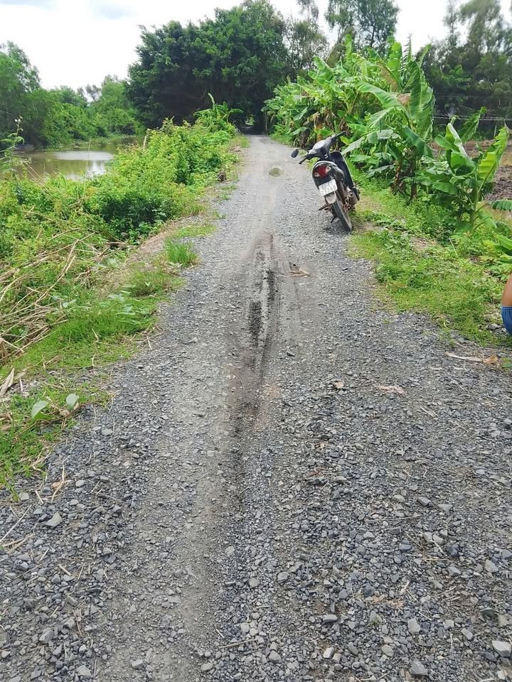 Đất nông nghiệp 14 công tại xã Kiến Bình, Tân Thạnh - Giá chỉ 160 triệu/công!