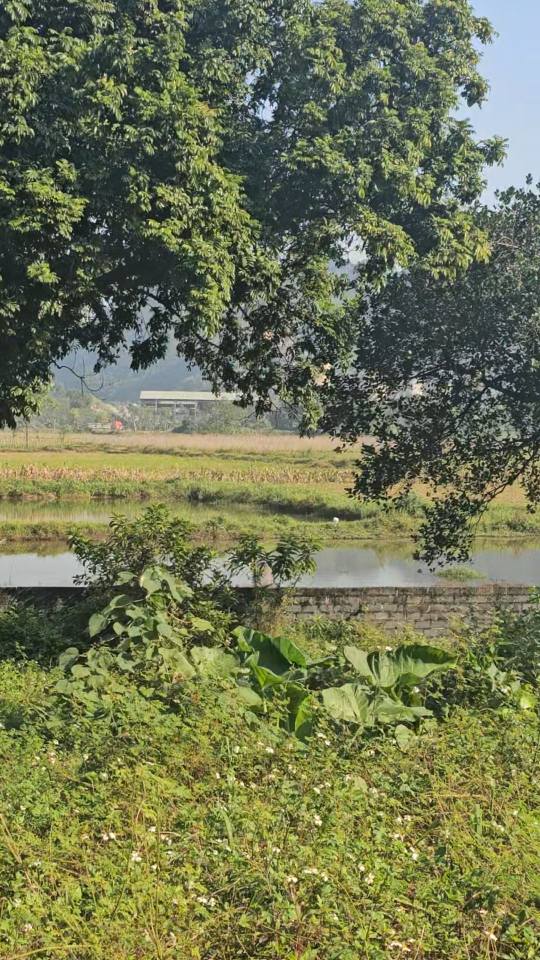 Đất thổ cư 3100m² tại Suối Sếu, Hòa Bình - Giá chỉ 3 tỷ đầu tư ngay!