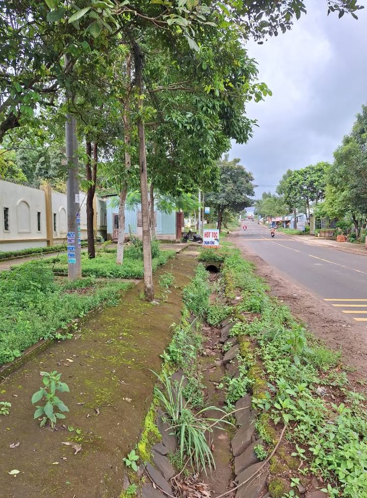 Đất mặt tiền Hoàng Sa, phường Diên Hồng, 550m² giá 3 tỷ - Vị trí kinh doanh lý tưởng!