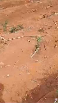 Đất nền 1ha tại Ia Dom, Đức Cơ - Ôm suối, giá 550 triệu - Cơ hội đầu tư tuyệt vời!