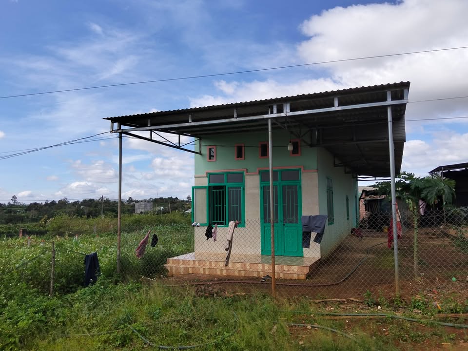 Nhà hẻm đường Bùi Viện, Pleiku 260m² - Giá thỏa thuận, chính chủ bán gấp!