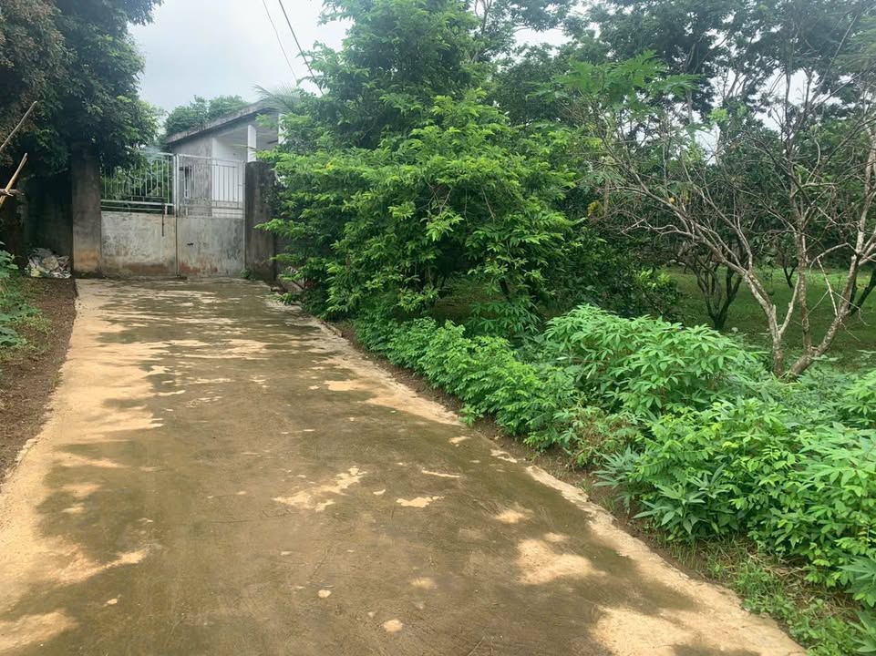 Đất nền Bảo Hiệu, Yên Thủy 1274m² giá 1 tỷ - Cơ hội đầu tư hiếm có!