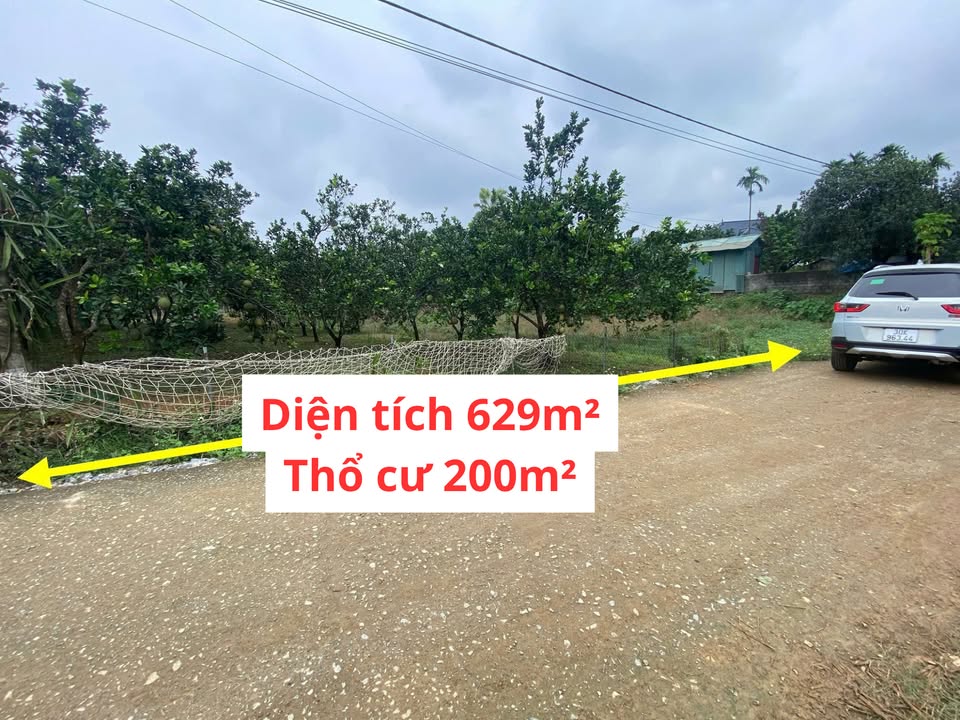 Đất thổ cư 200m² tại Lạc Thủy, 629m² chỉ 2 tỷ - Cơ hội đầu tư hấp dẫn!