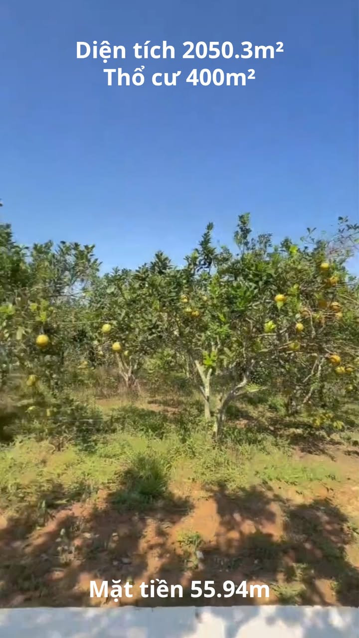 Đất thổ cư Cố Nghĩa, Lạc Thủy 2050m² giá 4 tỷ - Sổ hồng chính chủ!
