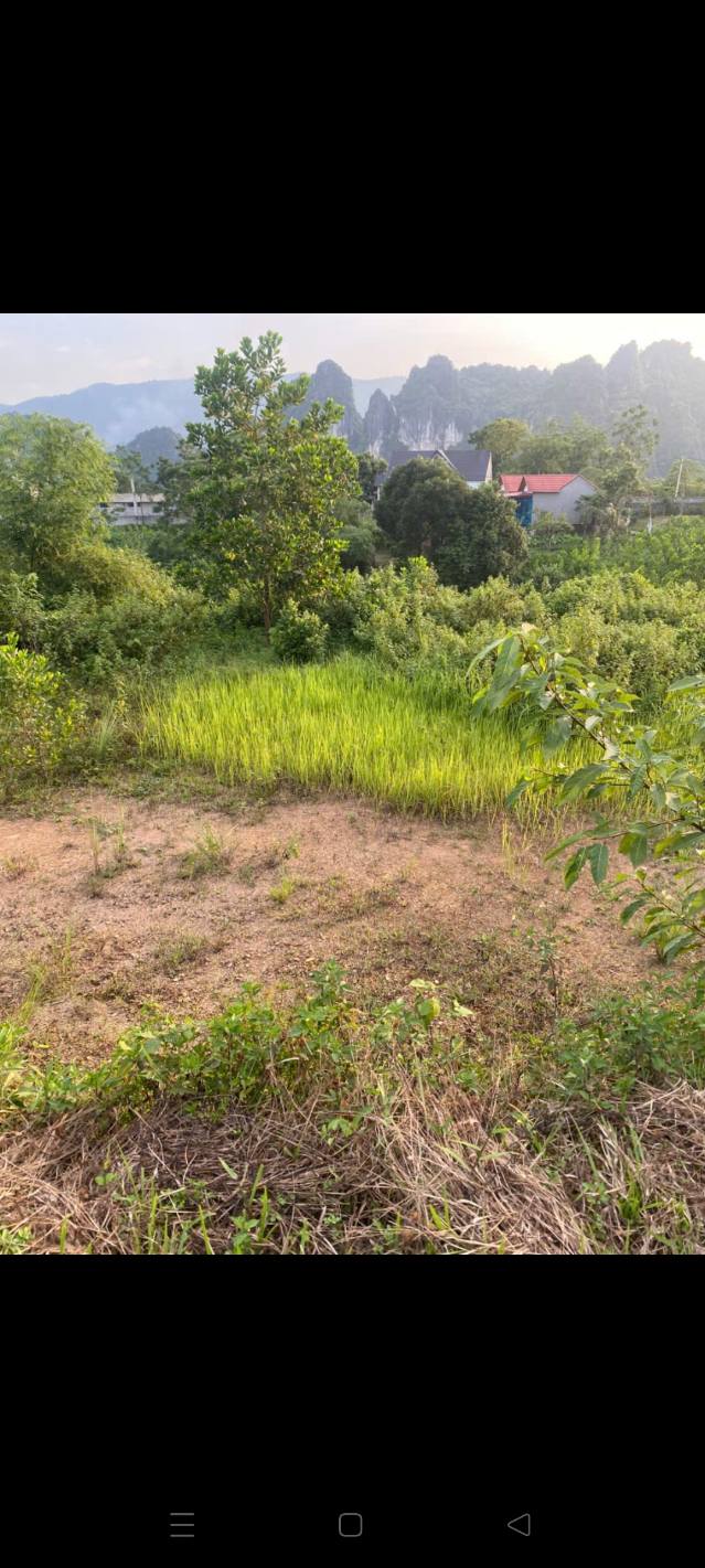 Đất farm Dương Liễu Lương Sơn 7000m² giá 700 triệu - Đầu tư sinh lời lý tưởng!