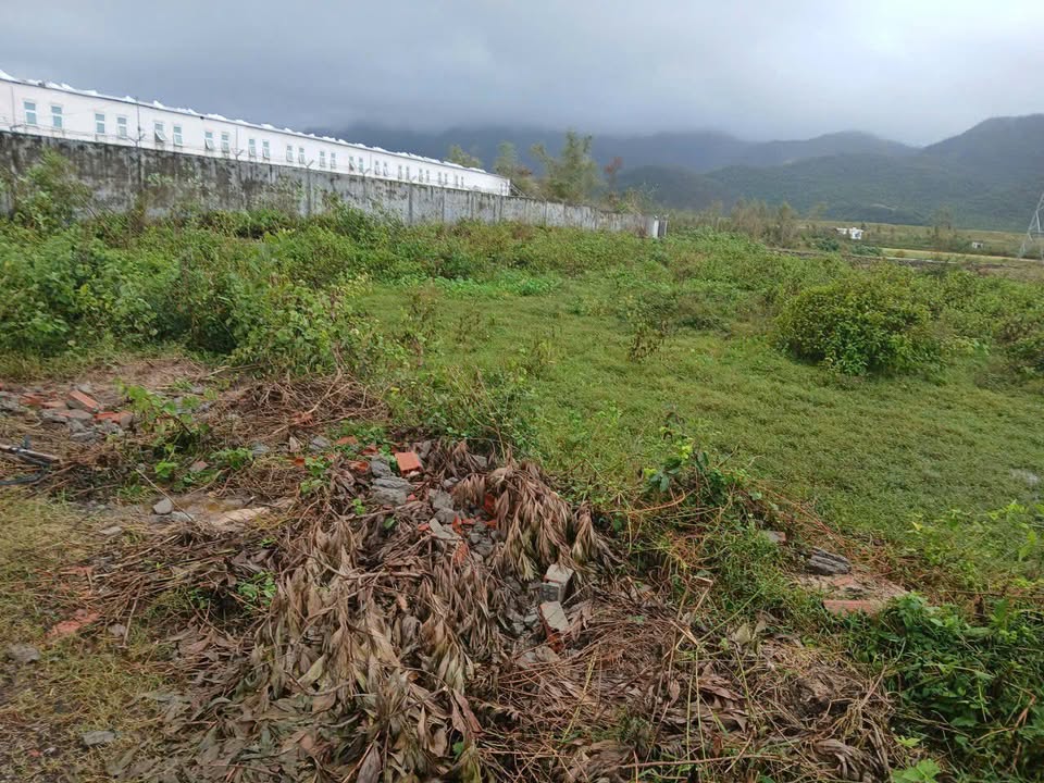 Đất nền Phước Thành 1678m² giá 250 triệu - Cơ hội đầu tư tuyệt vời!