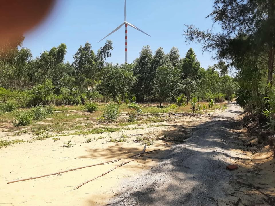 Đất nền thổ cư 2000m² tại Phú Hậu, Cát Chánh - Giá chỉ 1.5 tỷ, thương lượng tốt!