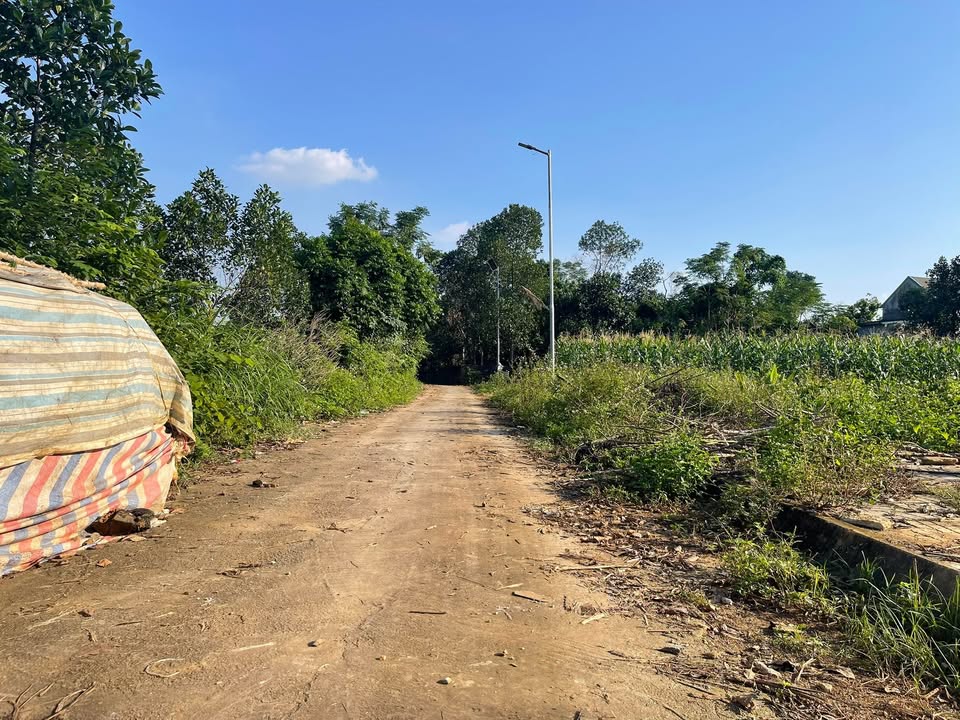 Đất nền Thọ Tân - Triệu Sơn 250m² giá 500 triệu - Sổ đỏ chính chủ!