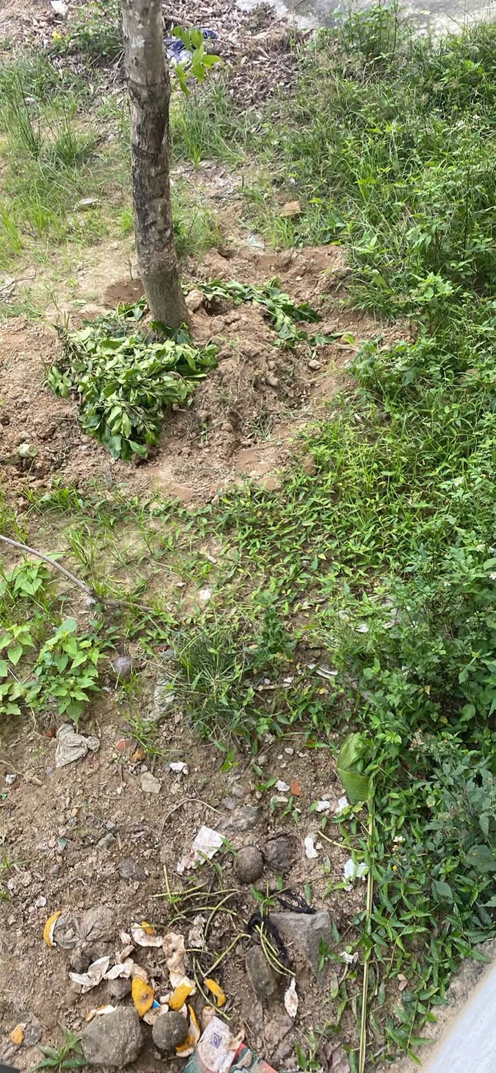 Đất ruộng Nghi Phong, đường 72, 360m² - Đầu tư sinh lời tiềm năng!