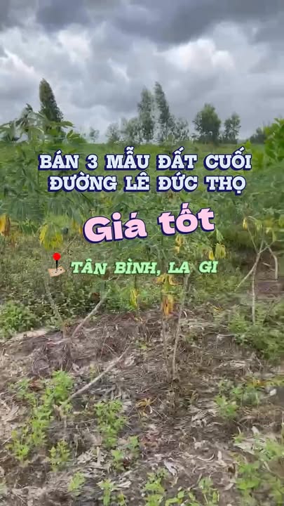 Đất nền Farm 30.485m² tại La Gi, Bình Thuận - Tiềm năng tăng giá vượt trội!