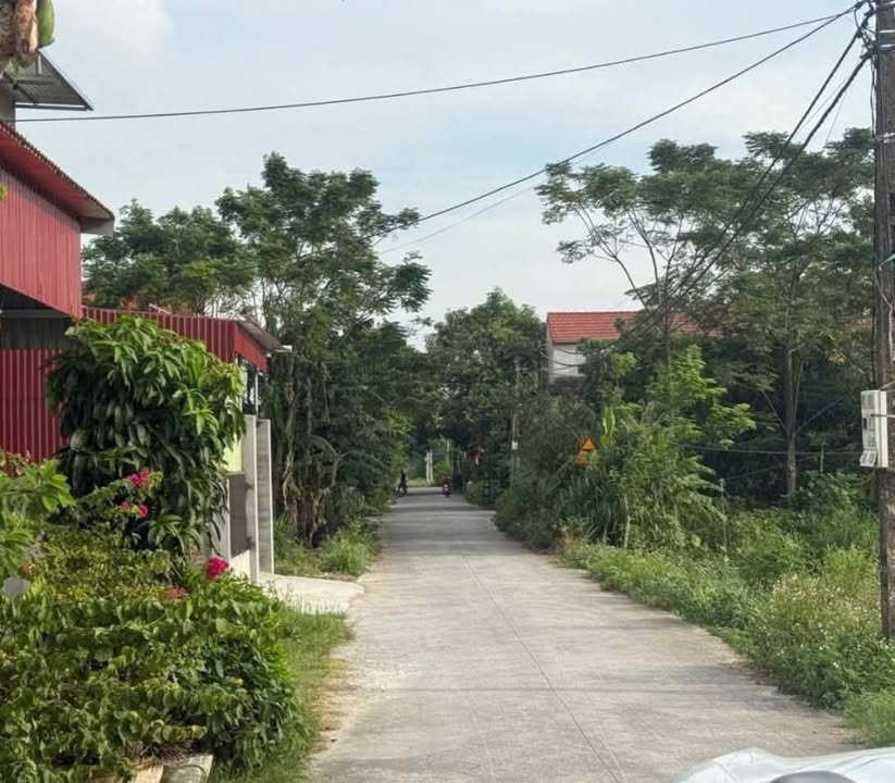 Lô đất Liên Sơn, Gia Viễn 165m² mặt tiền 7.5m - Tiềm năng kinh doanh lớn!