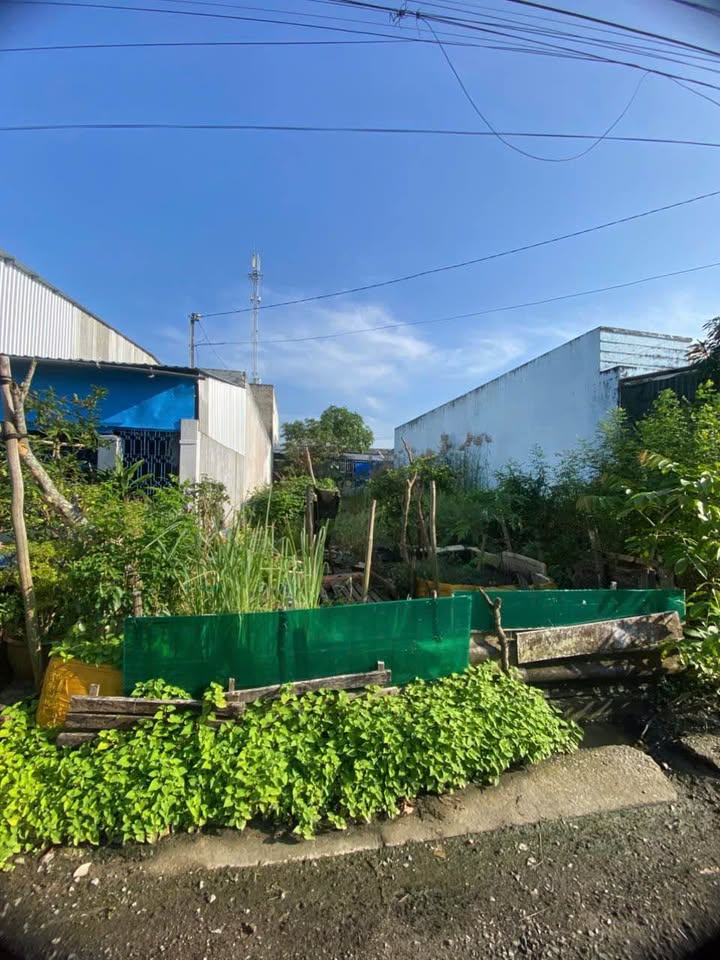 Đất nền đường N19 khu Bạch Đằng Cà Mau 108m² giá 800 triệu - Cơ hội đầu tư tuyệt vời!