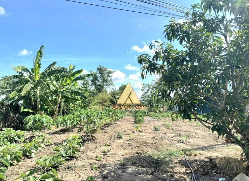 Đất thổ cư xã Lý Văn Lâm 1600m² giá thỏa thuận - Mặt tiền kênh Lễ Quyền