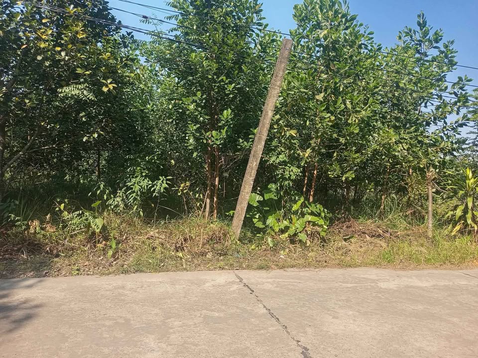 Đất nền chính chủ Thịnh Đức 4.000m² giá 4 tỷ - Tiềm năng đầu tư cao!