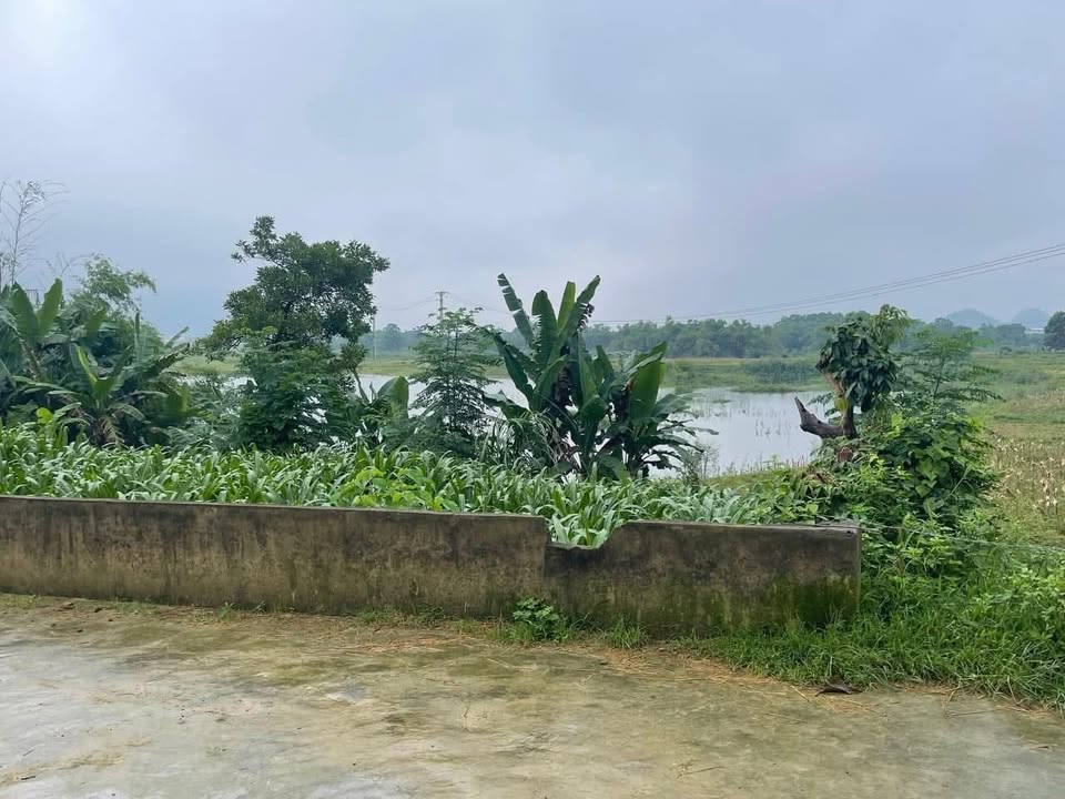 Đất nền Lục Ba, Đại Từ, Thái Nguyên 1000m² giá 1 tỷ - View hồ thoáng mát!