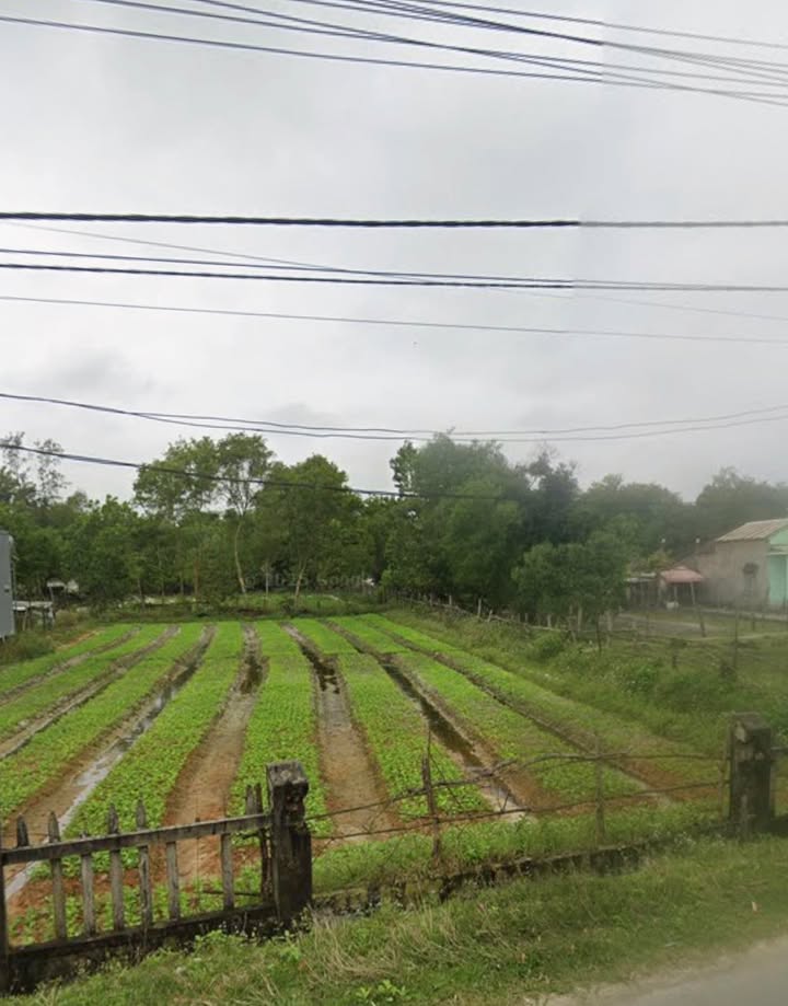 Đất nền Tam Phú 225m² giá 2 tỷ - Khu dân cư đông đúc