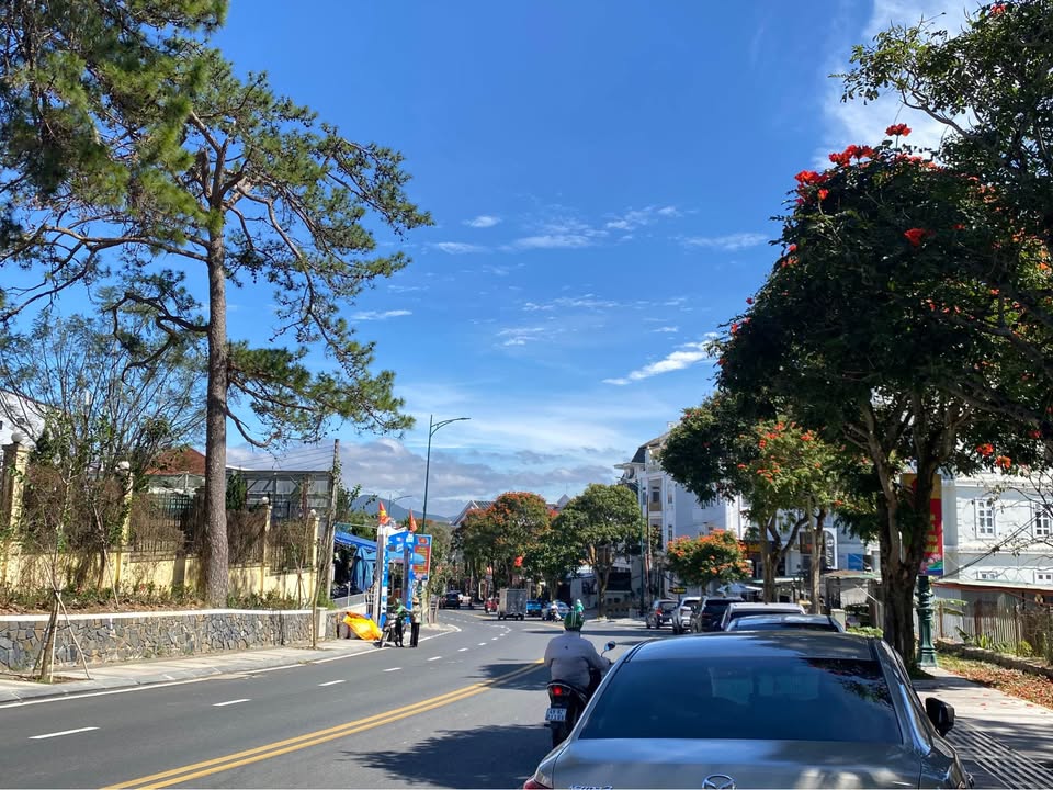 Nhà 3 mặt tiền Ngô Thì Sỹ, Đà Lạt 128m² giá 1.3 tỷ - Đầu tư sinh lời!