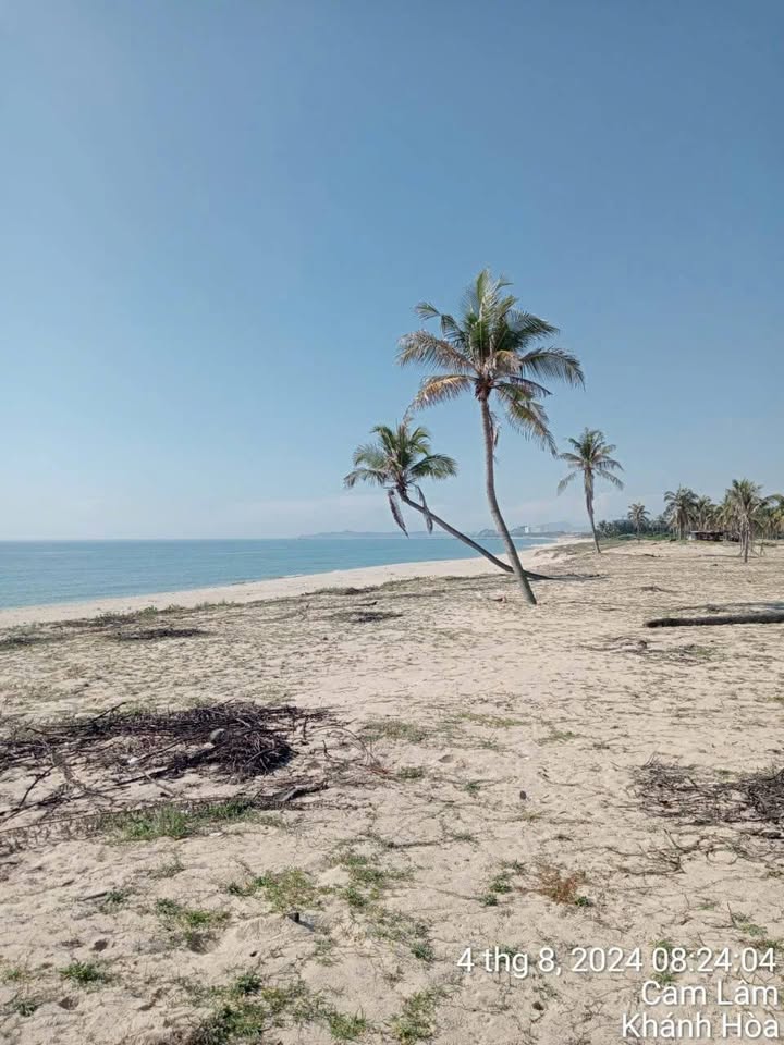 Chuyển nhượng dự án khu liên hợp Khách sạn - Du lịch - Thương mại tại Cam Lâm - 31,37ha - Đầu tư sinh lời hấp dẫn!